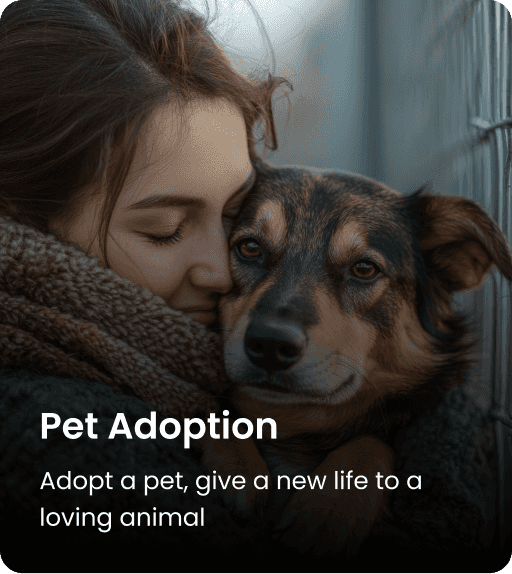 Pet Adoption