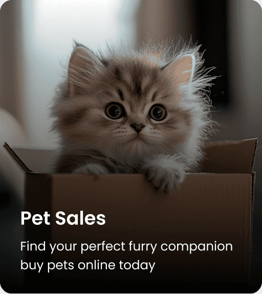 Pet Sales