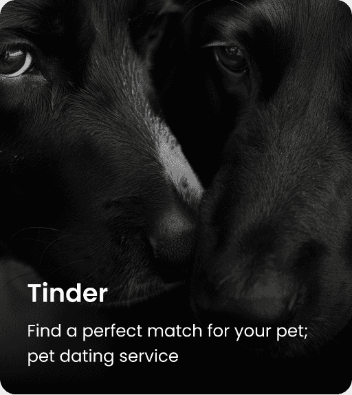 Pet Tinder