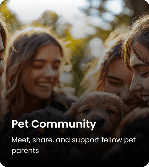 Pet Community