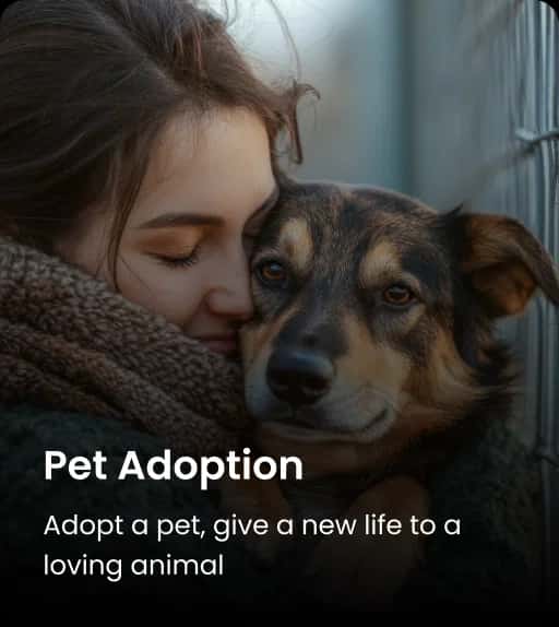 Pet Adoption
