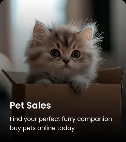 Pet Sales