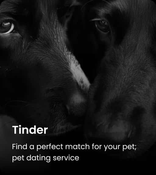 Pet Tinder