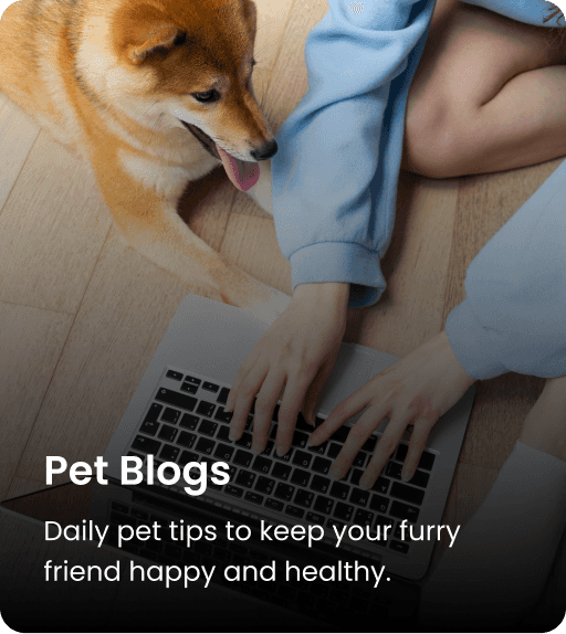 Blogs