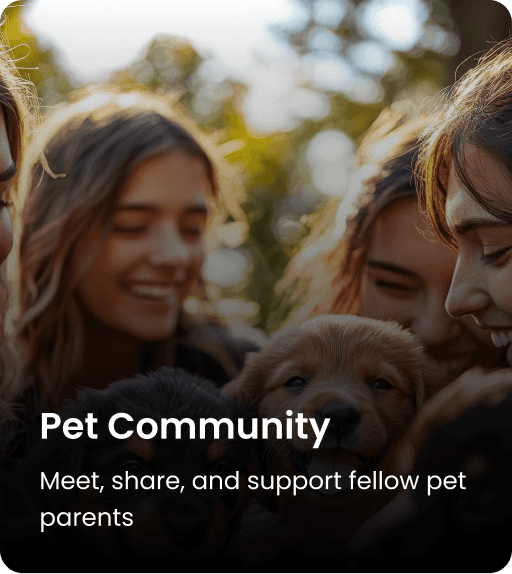Pet Community