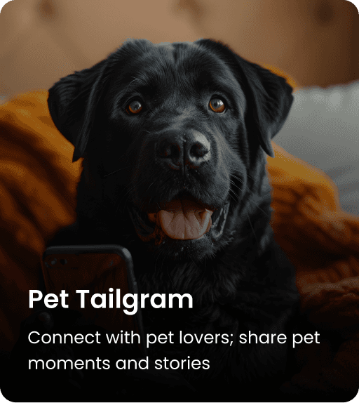 Tailgram