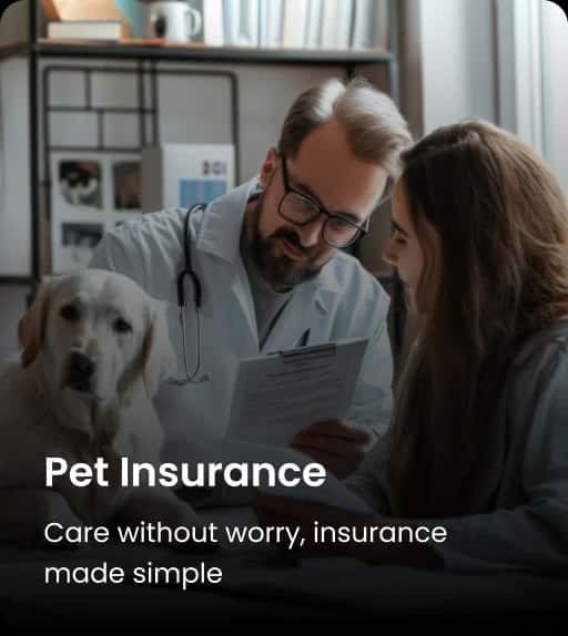 pet-insurance
