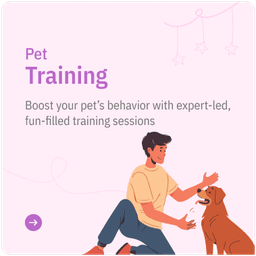 Training
