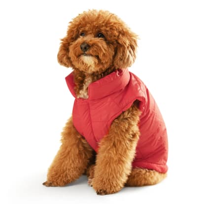zigly - Reversible Ambergini Puffer Dog Jacket