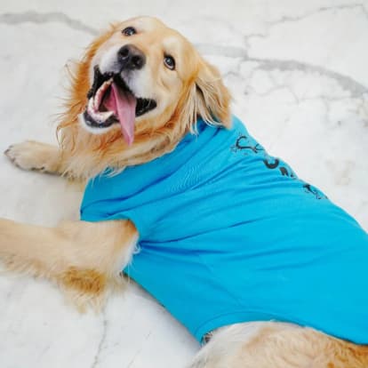 zigly - Pet So Proud Dog T-Shirt