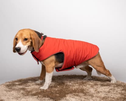 petsnugs - Petsnugs Rust Jacket Winter Wear