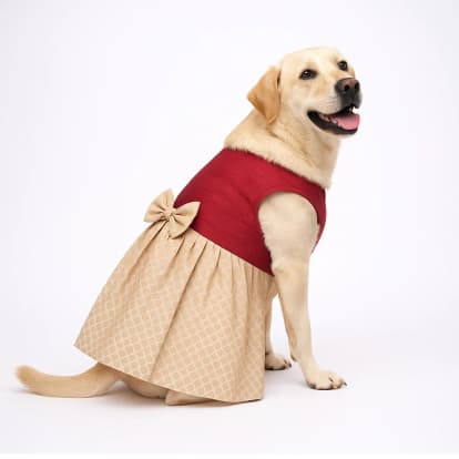 skatrs - Skatrs Onam Dress