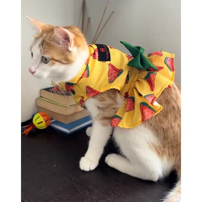 pawgy Pets - pawgy Pets Watermelon Dress