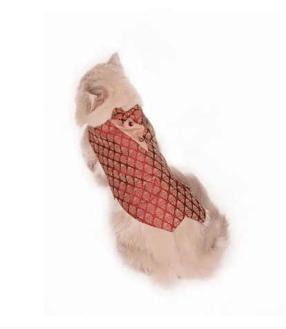 vastramay - Paws By Vastramay