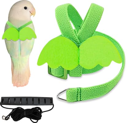 cool Shef - cool Shef Green Pet Birds Harness and Leash