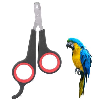 zerodis - Birds Nail Clipper Grooming Tool Nail Scissors Clipper Pet Birds