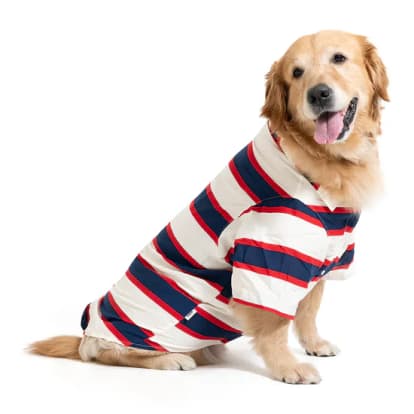 zigly - ZL Classic Sailor Stripe Shirt For Dog Days