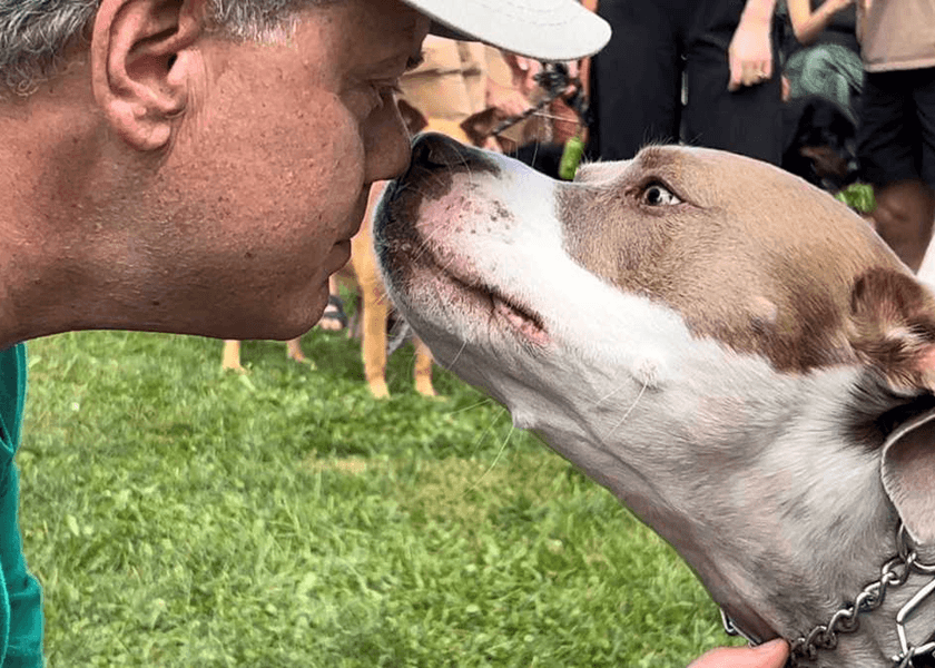 Why This Rescuer Puts Pit Bulls in a Kissing Booth