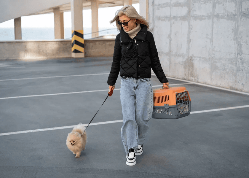 Flying With Your Pet in India: Air India vs Akasa Air (2026 Guide)