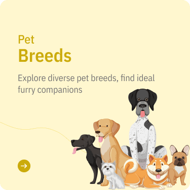 Pet Breed