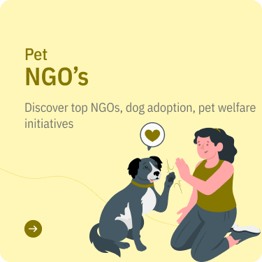 Pet NGO