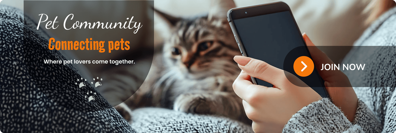 cat community banner