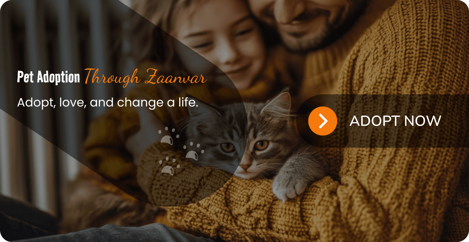 cat adoption banner