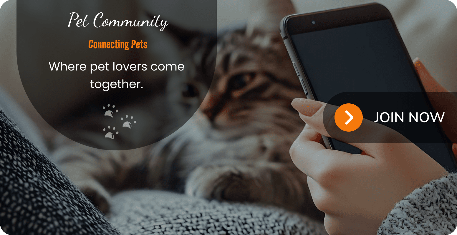cat community banner