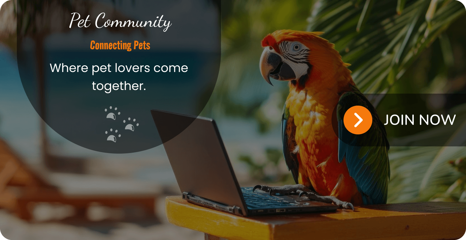 bird community banner