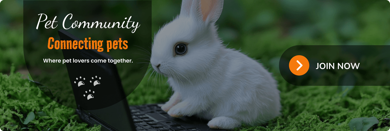 small-pet community banner