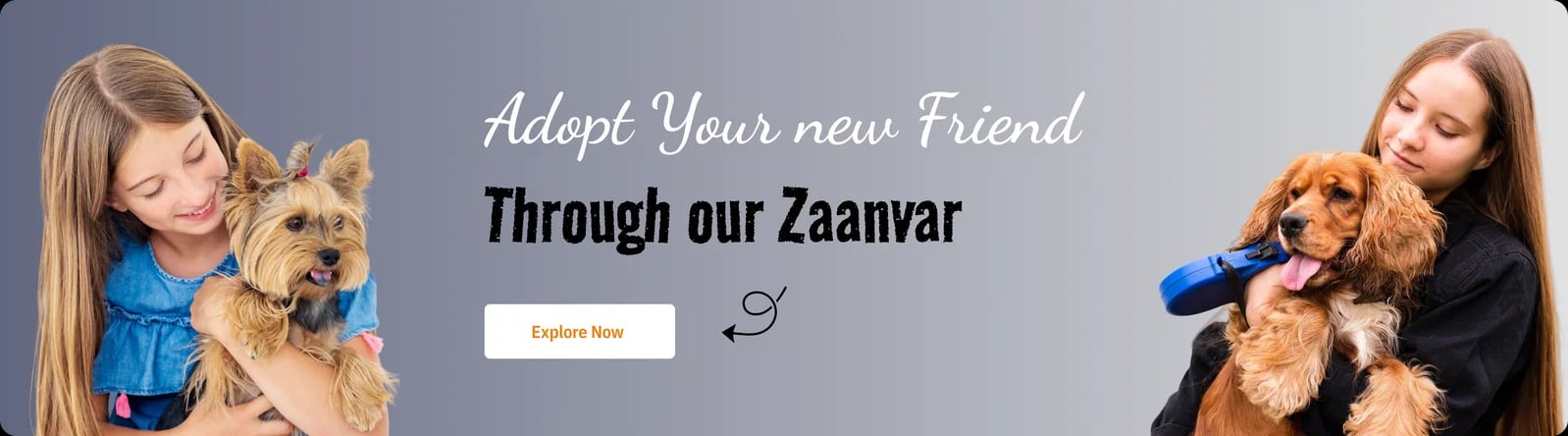 Find the Perfect Companion through Zaanvar