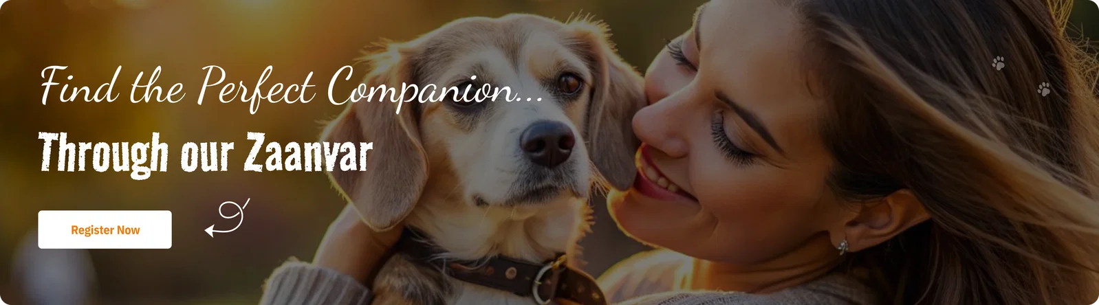 Find Best Pet Friendly Places Through Zaanvar