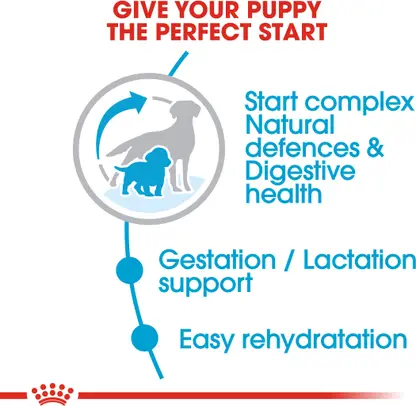 Royal Canin - medium starter
