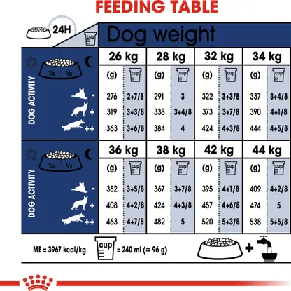 Royal Canin - Maxi Adult