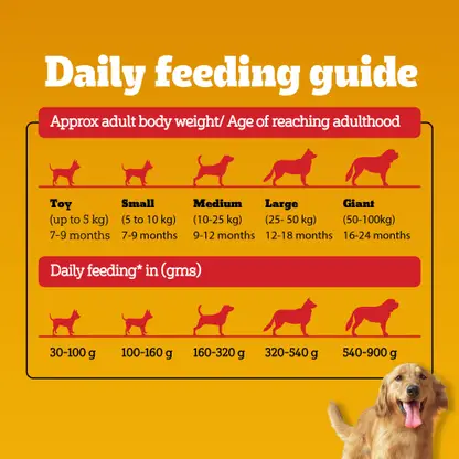 Pedigree - Balanced and Vegetarian Dog Food for Adult and Puppy
