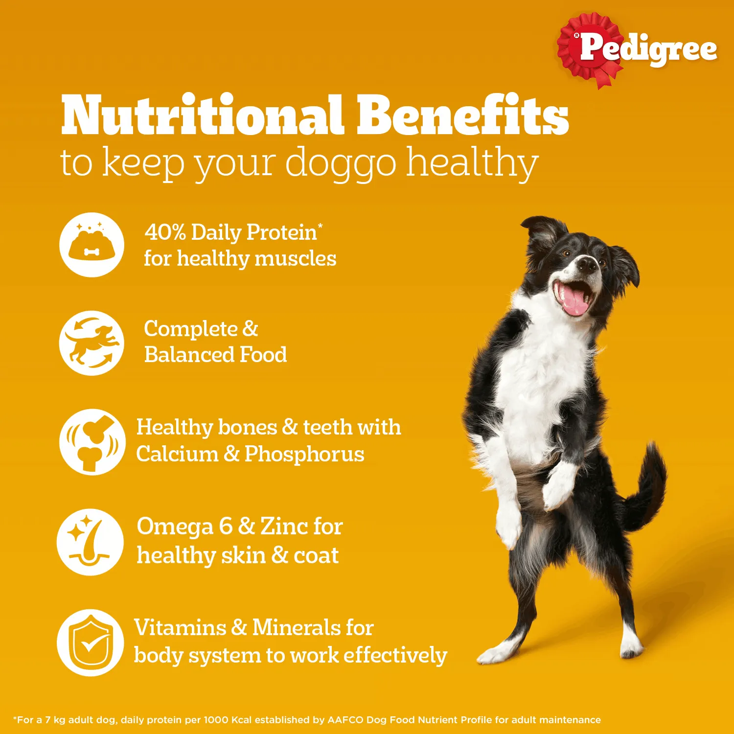 Pedigree - Chicken & Liver Chunks in Gravy for Adult Dogs 130 gm