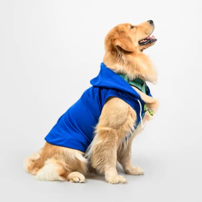 skatrs - Cozy Dog Hoodie