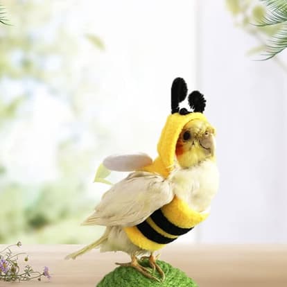 junjil - JUNJIL Funny Bee Shaped Birds Clothes Flying Suit