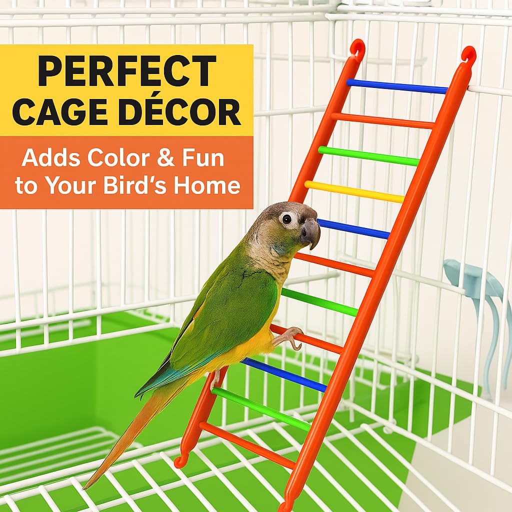 Vayinato - VAYINATO Birds Colorful Plastic Climb Ladder Toy