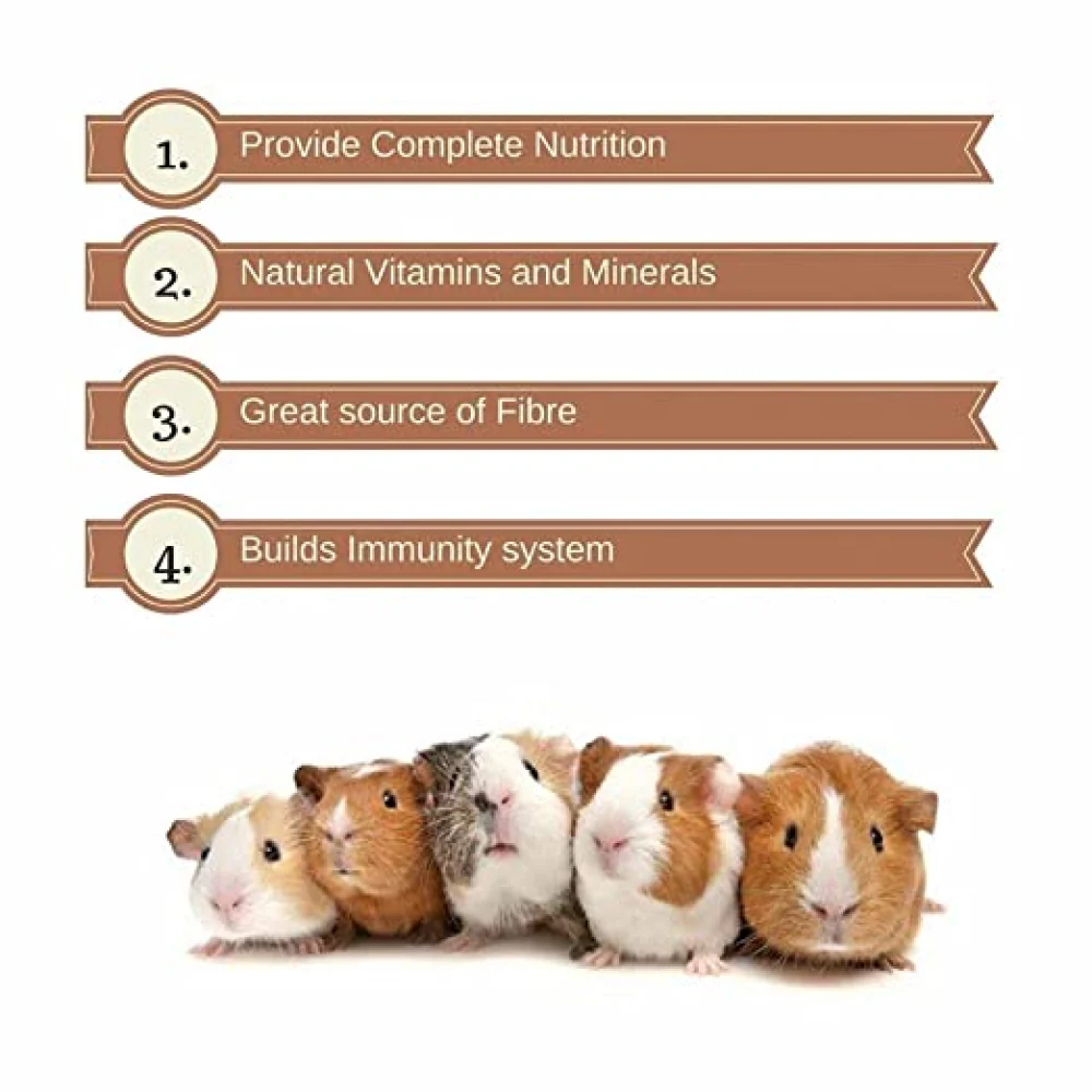 Vitapol - Vitapol Economic Food For Hamster