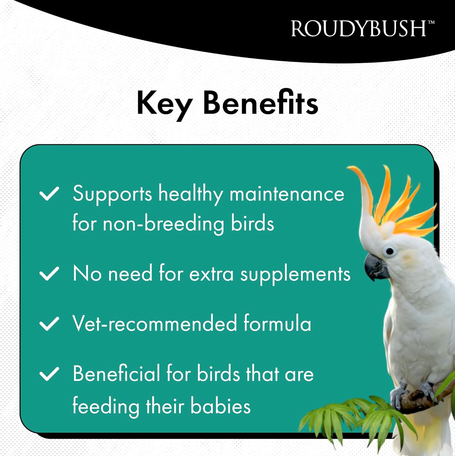 Roudybush - RoudyBush Lory Nectar 15 Birds Food
