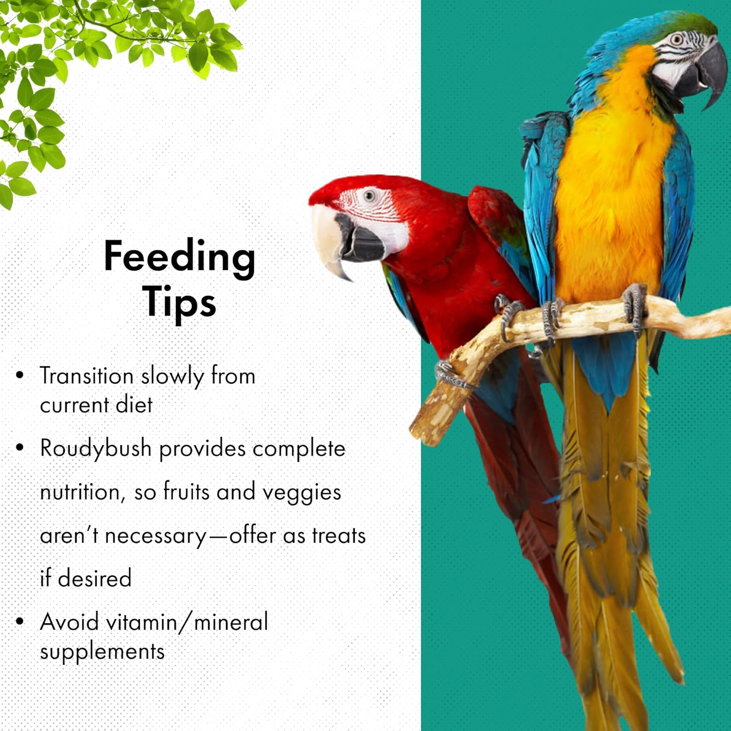 Roudybush - RoudyBush Lory Nectar 15 Birds Food