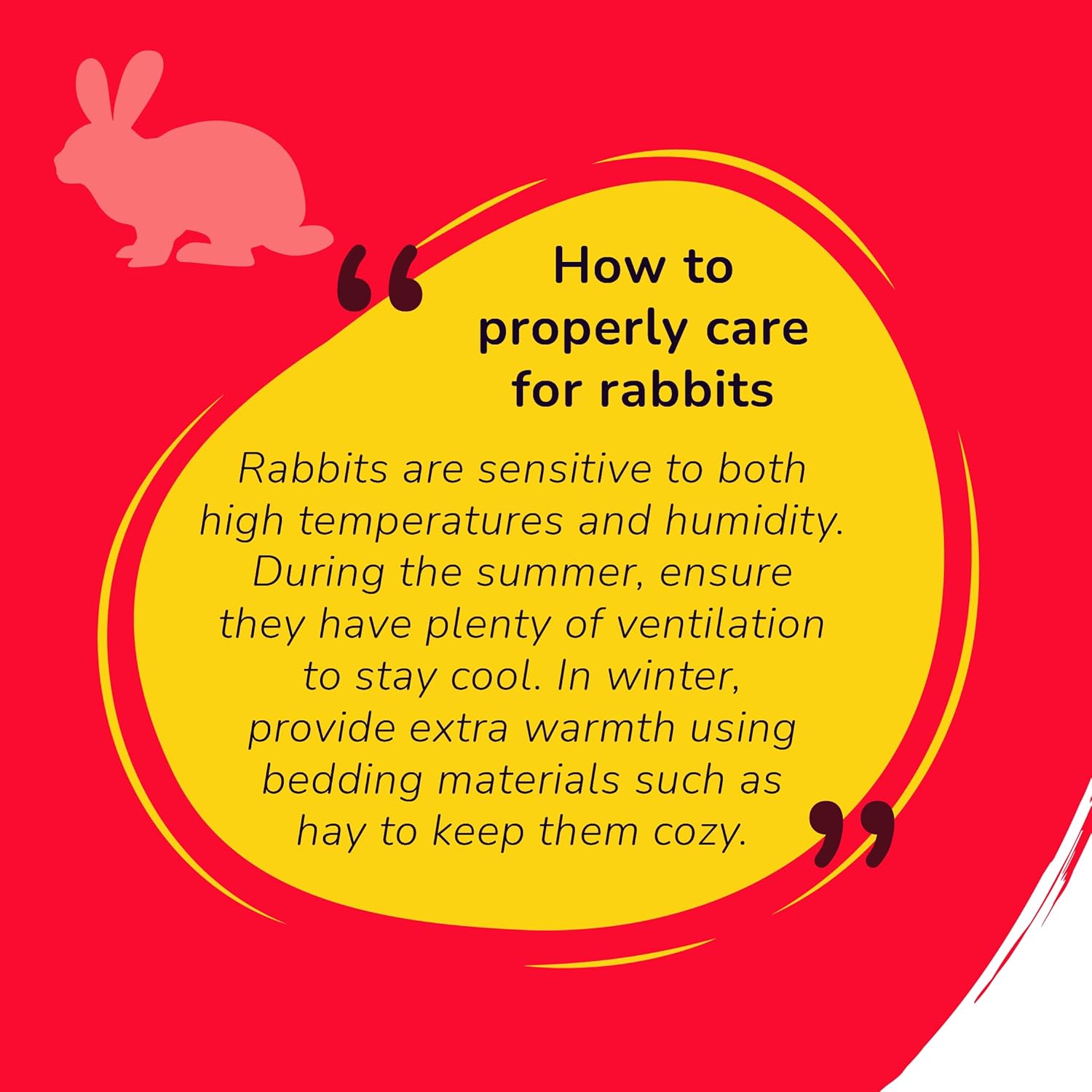 Petslife - petslife Premium Rabbit Food High Protien Added with Fiber & Essential Nutrients Pellet Food