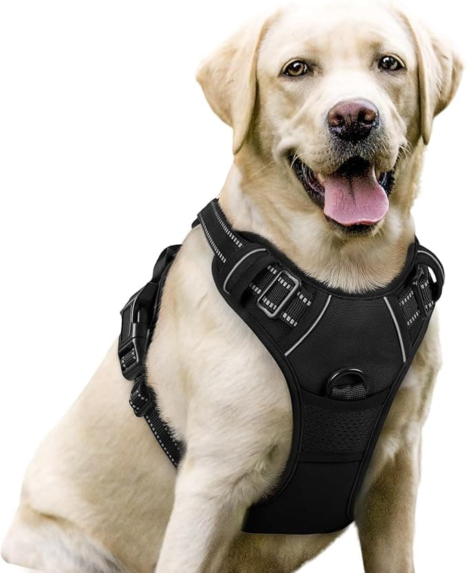 kong - KONG® Double Handle Vest, Adjustable, Dog Harness
