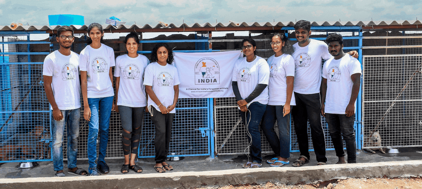 Animal Welfare and Care Services (AWCS)