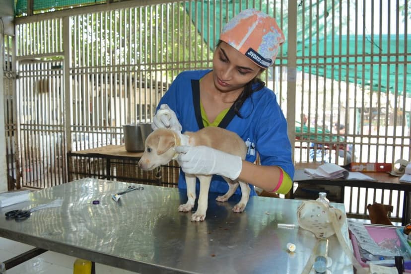 Jivdaya Charitable Trust