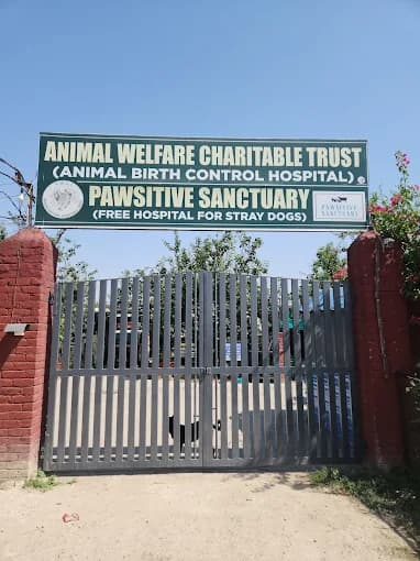 Pawsitive Sanctuary