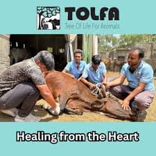 TOLFA (Tree Of Life For Animals)