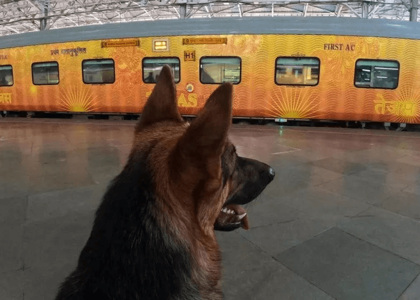 Indian Railways Makes Pet Journeys Easier!