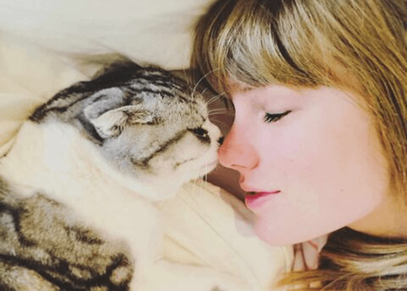 Taylor Swift’s Cats: From Lavish Lifestyles to Global Headlines!